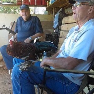 Meet your Posher, Eddie